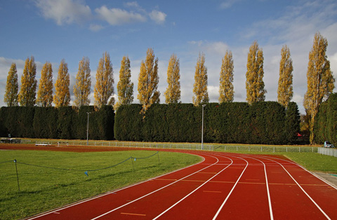 Wimbledon Park, Andrew Wilson