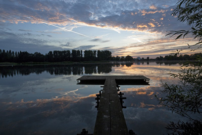 Andrew Wilson photo