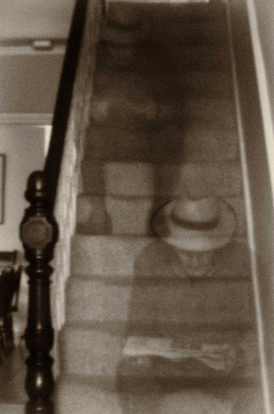 Lesley Bruce