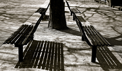 Benches, Amir Azimi