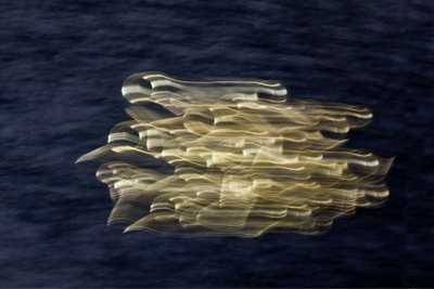 Carole Rawlinson
