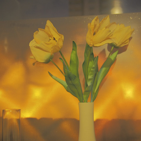 teresalevitt05