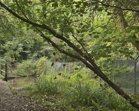 River Chess - Duncan Unsworth