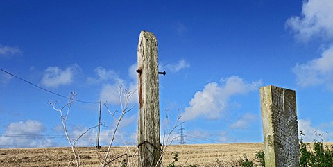 Sue-Czapska-Sculptural-Landscape-480pix