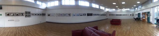 The Original Gallery