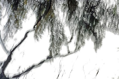 CzapskaSue-2-Using-My-Camera-as-a-Paintbrush480