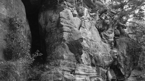 2015_0906balcombeoareswanscom1375a