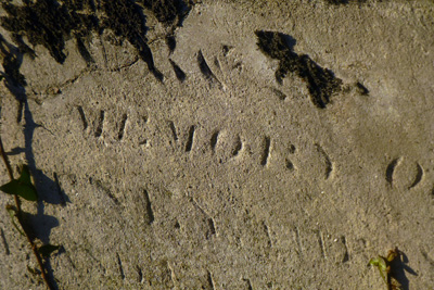p1040878copy