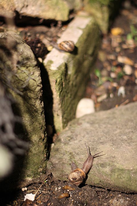 10_img_5377_web